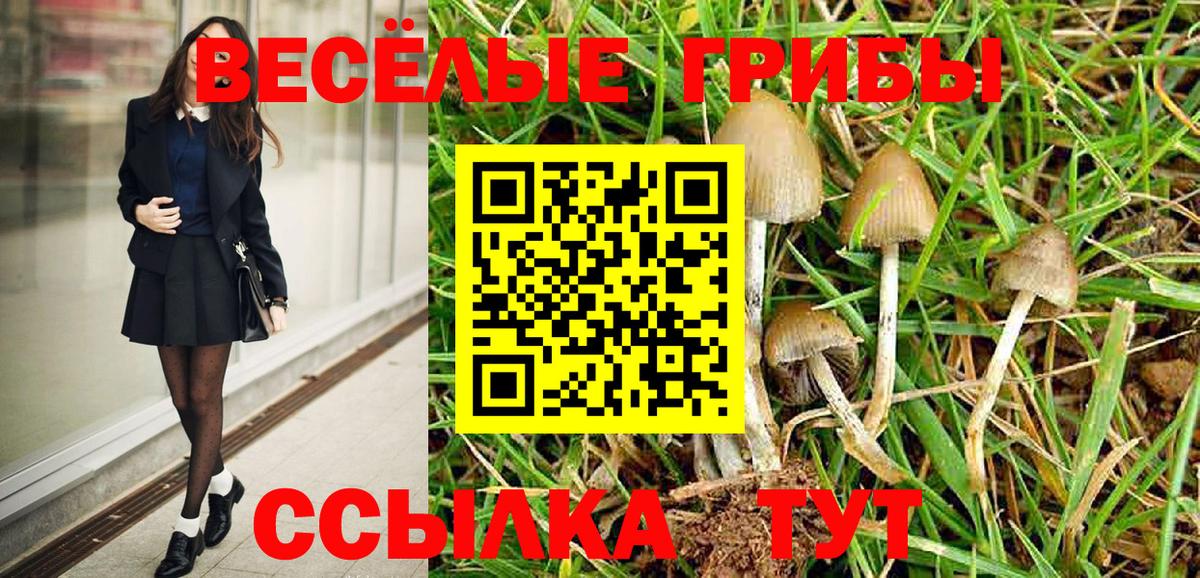 Псилоцибиновые грибы Cubensis  Галлюциногенные грибы Psilocybine cubensis  Вход с VPN  Ахтубинск 